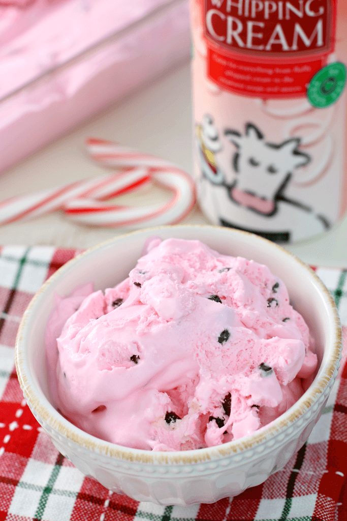 No-Churn Peppermint Chip Ice Cream - Shamrock Farms